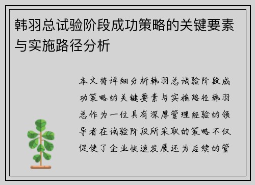 韩羽总试验阶段成功策略的关键要素与实施路径分析